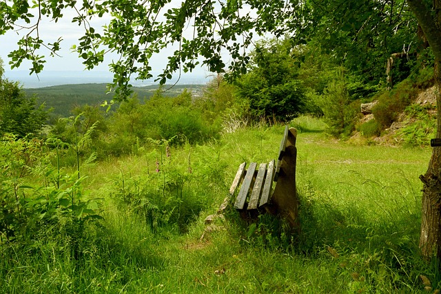 过去几个赛 过去几个赛
