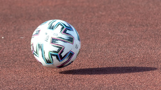 不仅展示了 不仅展示了