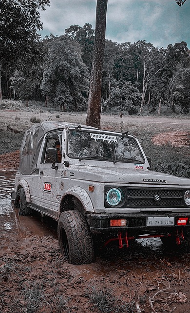 仅展示了实 仅展示了实