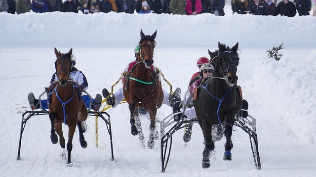 whoscored本周欧冠最佳阵：厄德高、拉菲尼亚领.